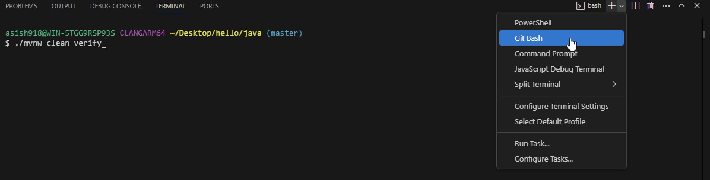 git_bash